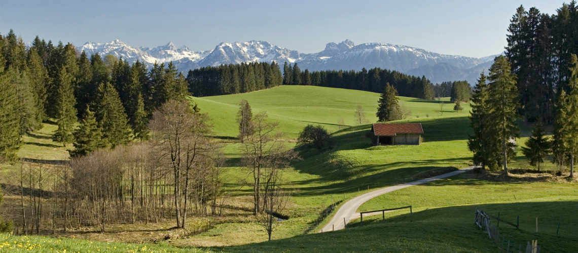 allgaeu